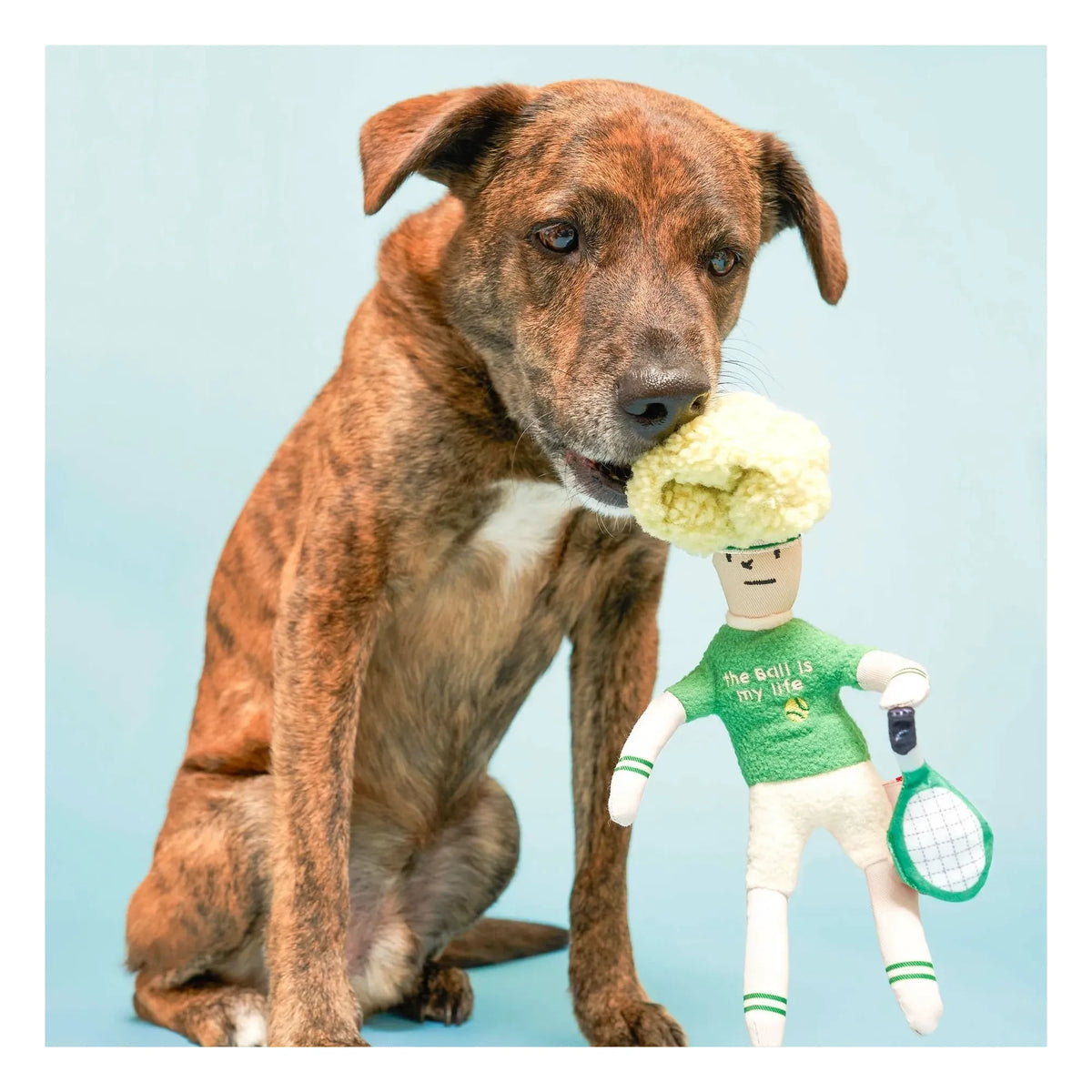 The Furry Folks - Tennis Hooman Scratching Toy | Green