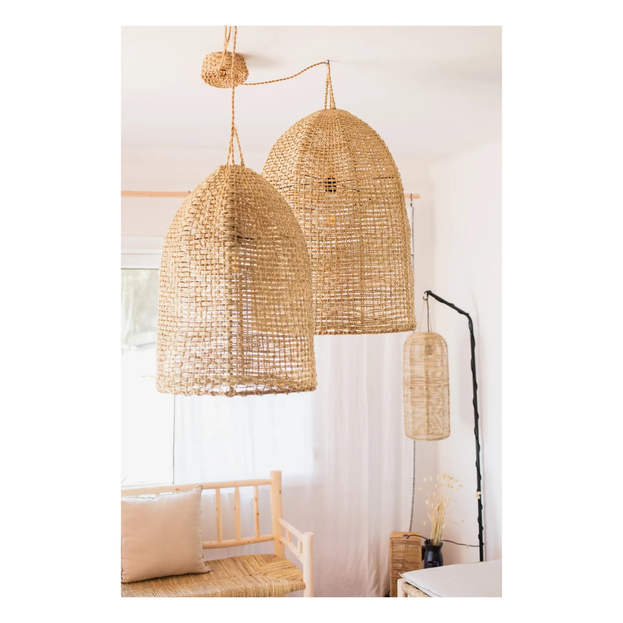 Cosydar - Lighting Fixture and Palm Leaf Ceiling Rose