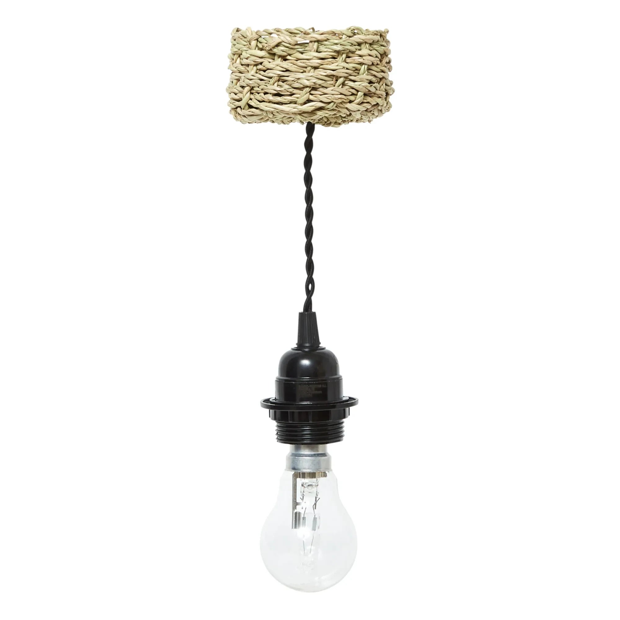 Cosydar - Lighting Fixture and Palm Leaf Ceiling Rose