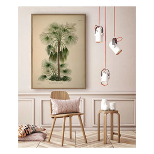 The Dybdahl Co. - Livistona Humilis Poster