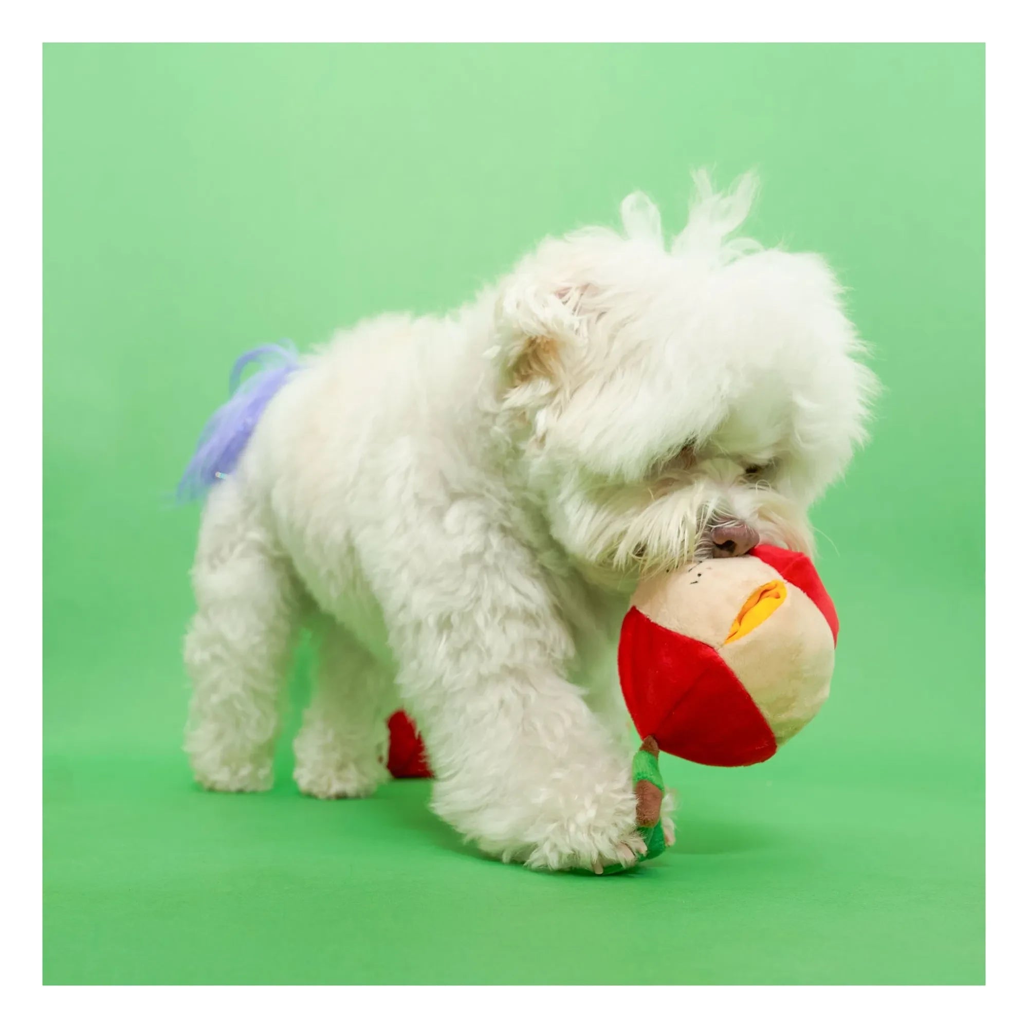 The Furry Folks - Apple Scratching Toy | Red