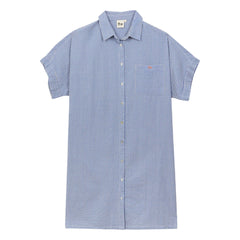 a.p - Cotton Gingham Shirt Dress | Blue Vichy Cotton