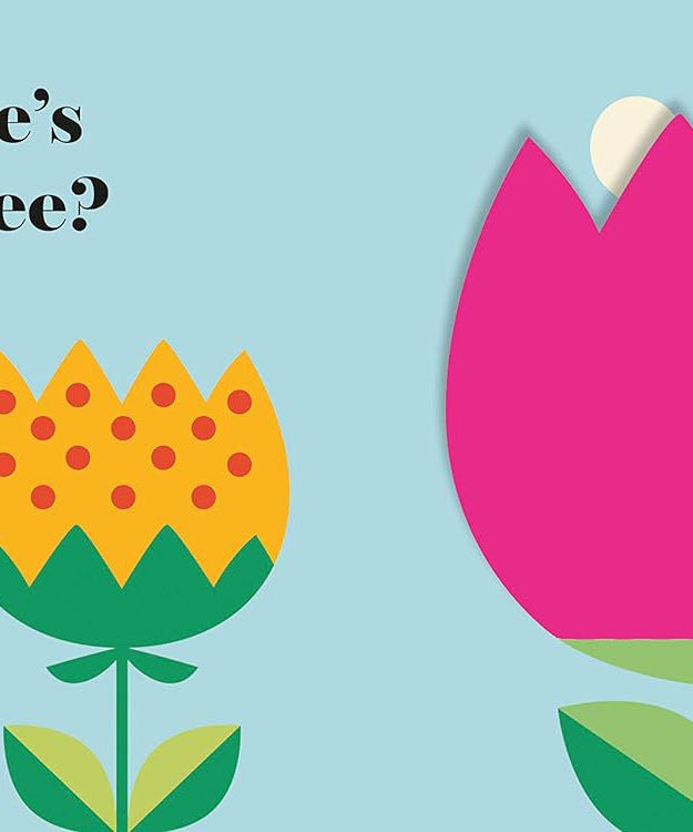 Nosy Crow - İngilizce Bayan Uğurböceği Nerede? Kitap-Dinossi