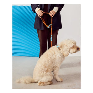 Approved by Fritz - Adjustable Dog Collar | Chocolate