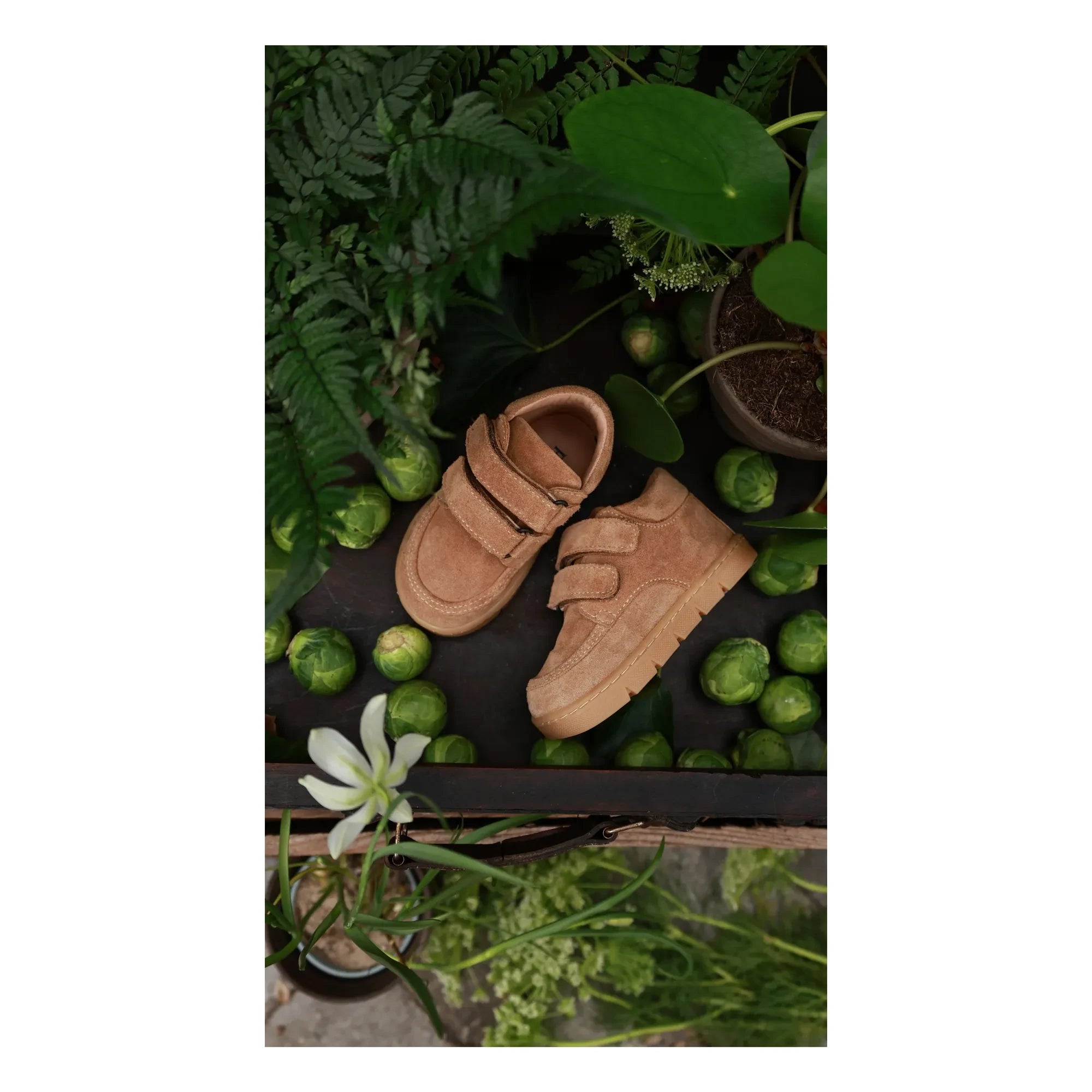Petit Nord - Chubby Cruiser Scratch Sneakers | Beige