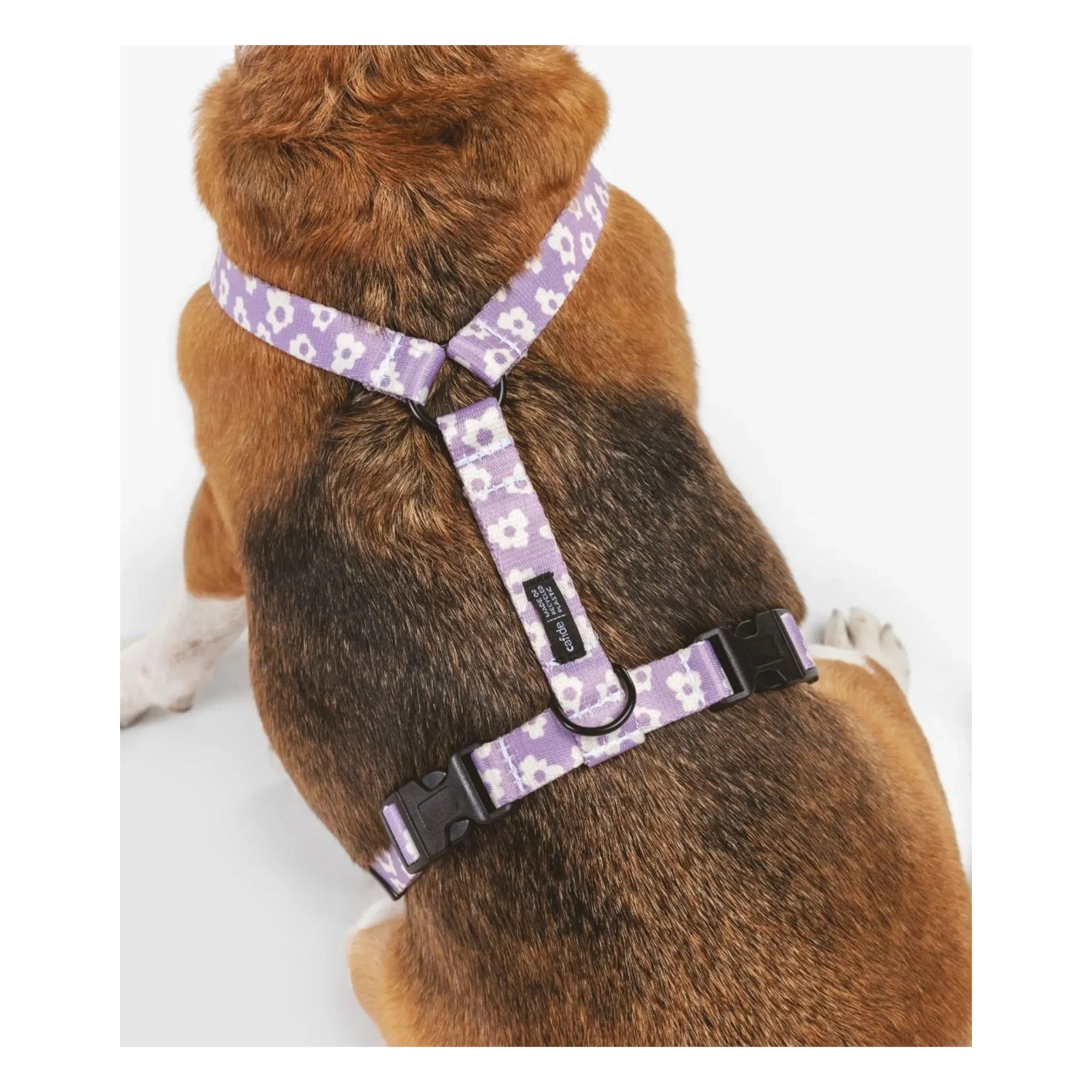 Cafide - Juno dog collar | Lilac