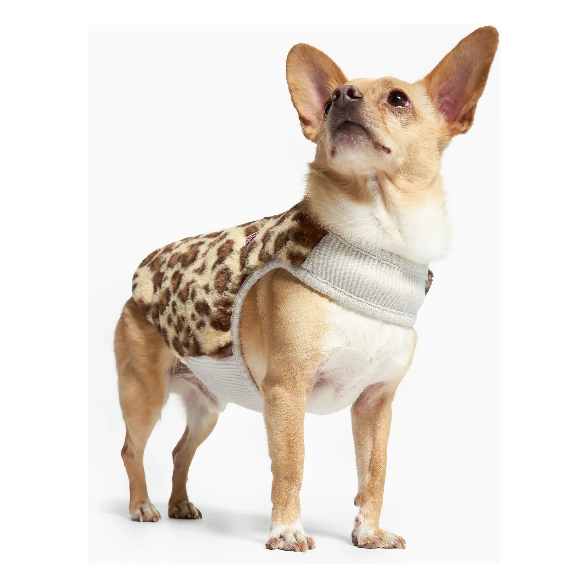 The Furry Folks - Reversible Puffer Jacket | Gray