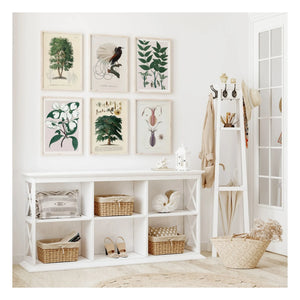 The Dybdahl Co. - Cornus Florida Poster