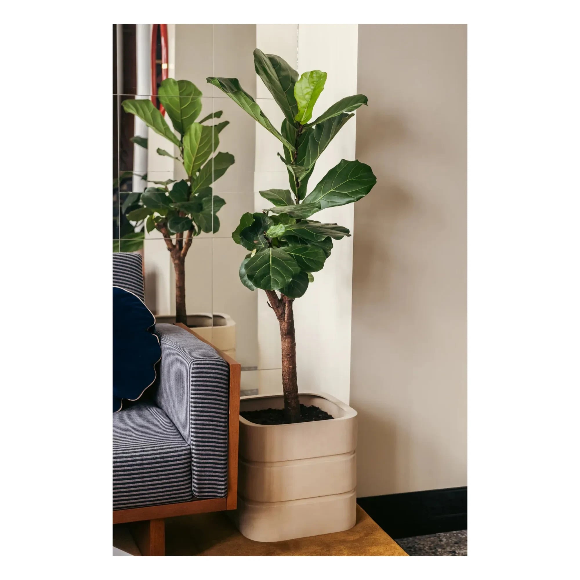 The Socialite Family - Donna ceramic planter | Cream