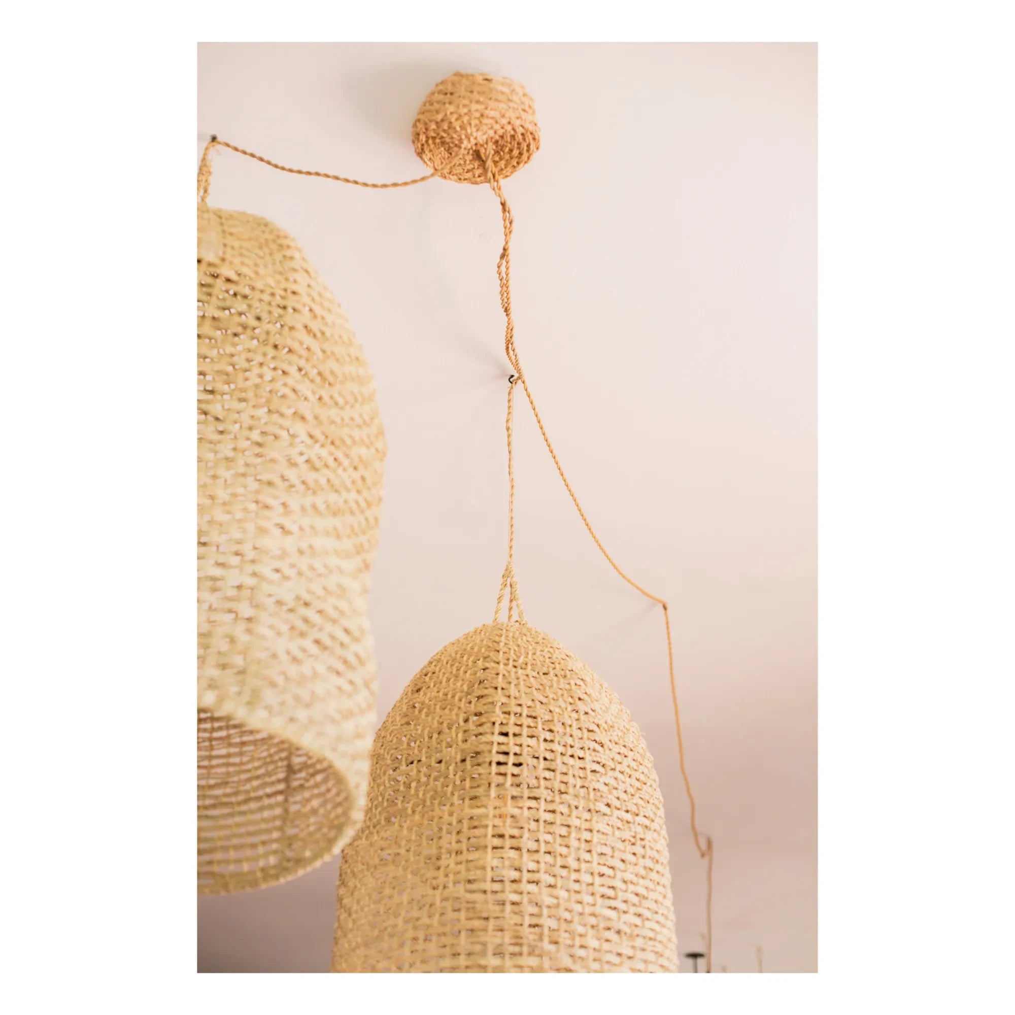 Cosydar - Lighting Fixture and Palm Leaf Ceiling Rose