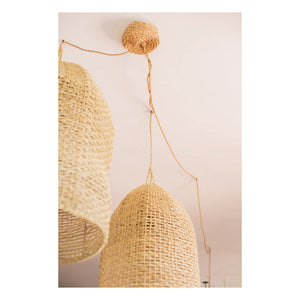 Cosydar - Lighting Fixture and Palm Leaf Ceiling Rose