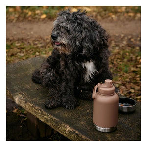 Haps Nordic - Haps Go Dog Bottle - 900 ml | Brown