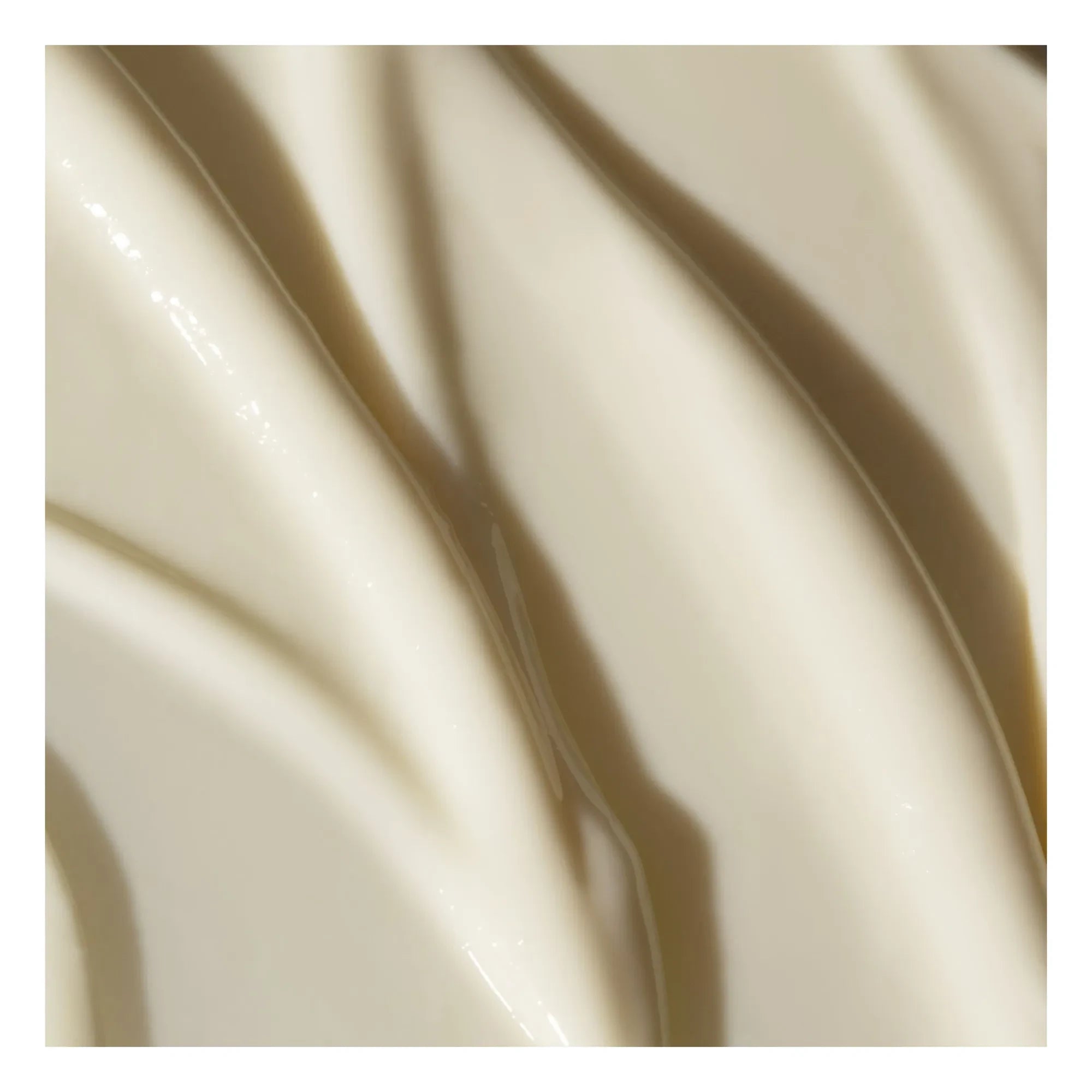 Odacité - Edelweiss Extrême Restorative Eye Cream - 15 ml