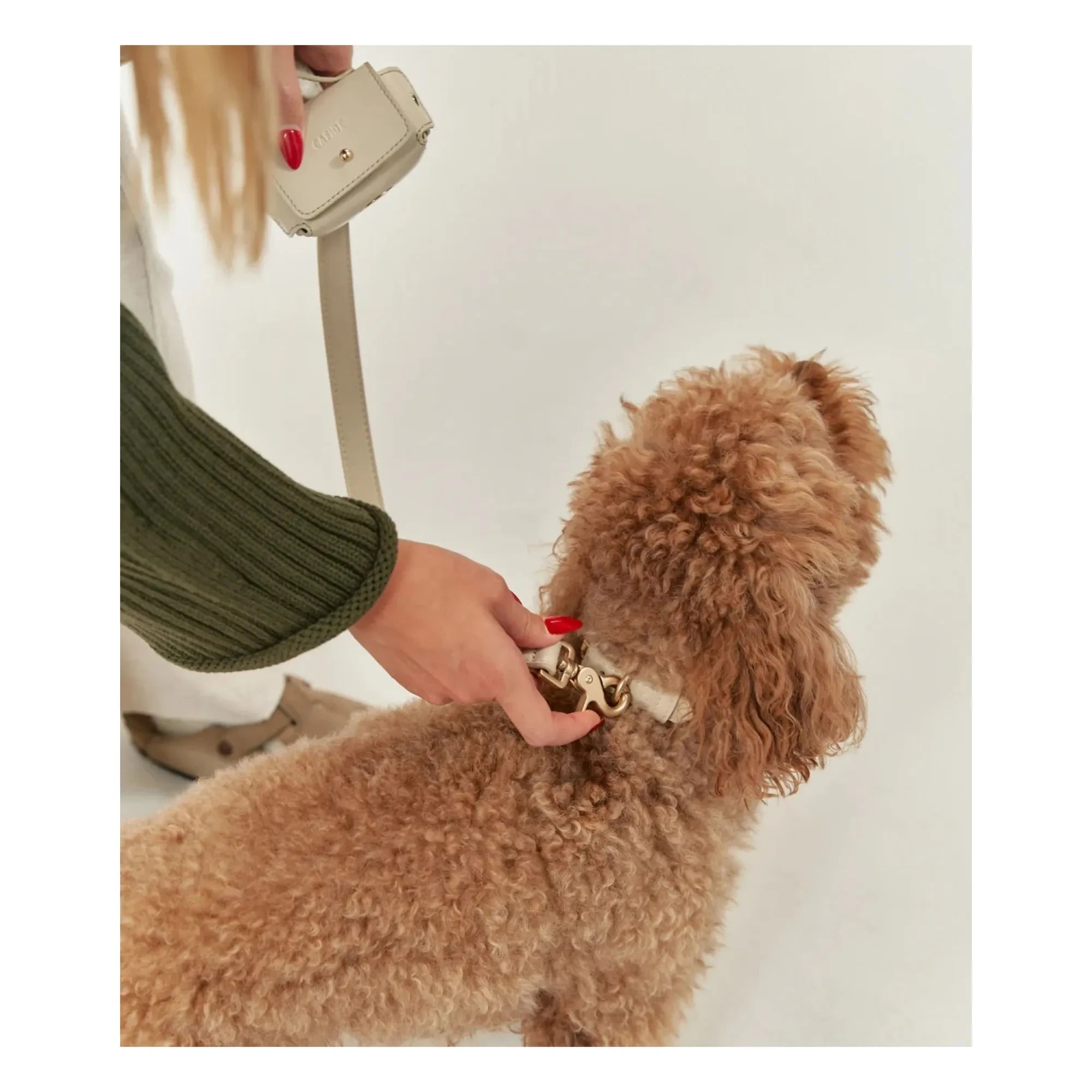 Cafide - Vegan leather dog collar | Beige