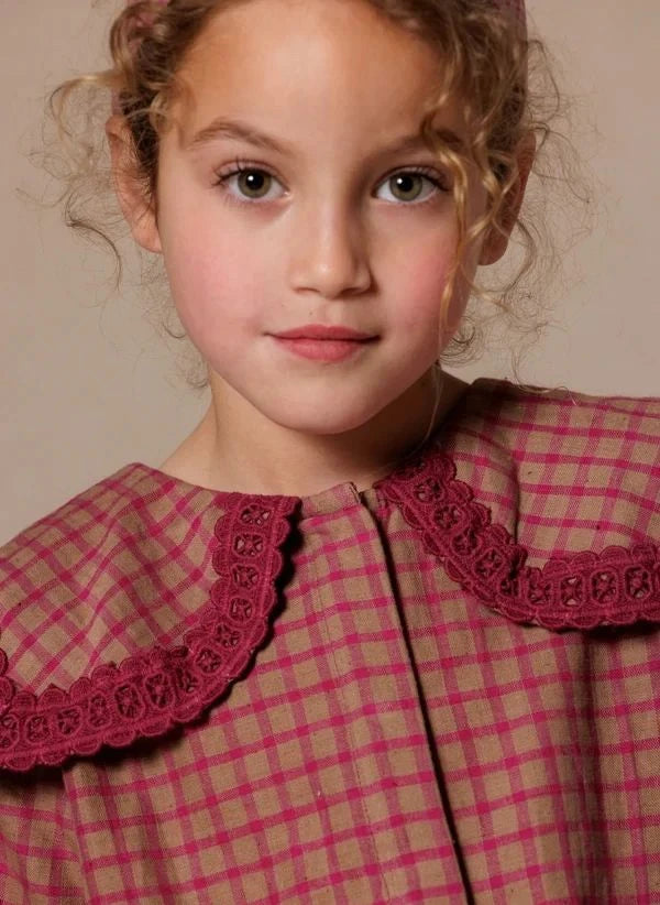 Apaches - Checked Blouse in the Picture | Pink