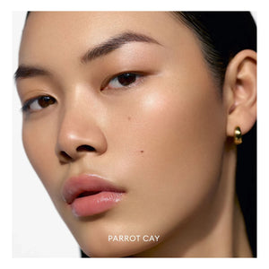 Rose Inc - Solar Infusion Soft Focus Bronzer | Parrot Cay
