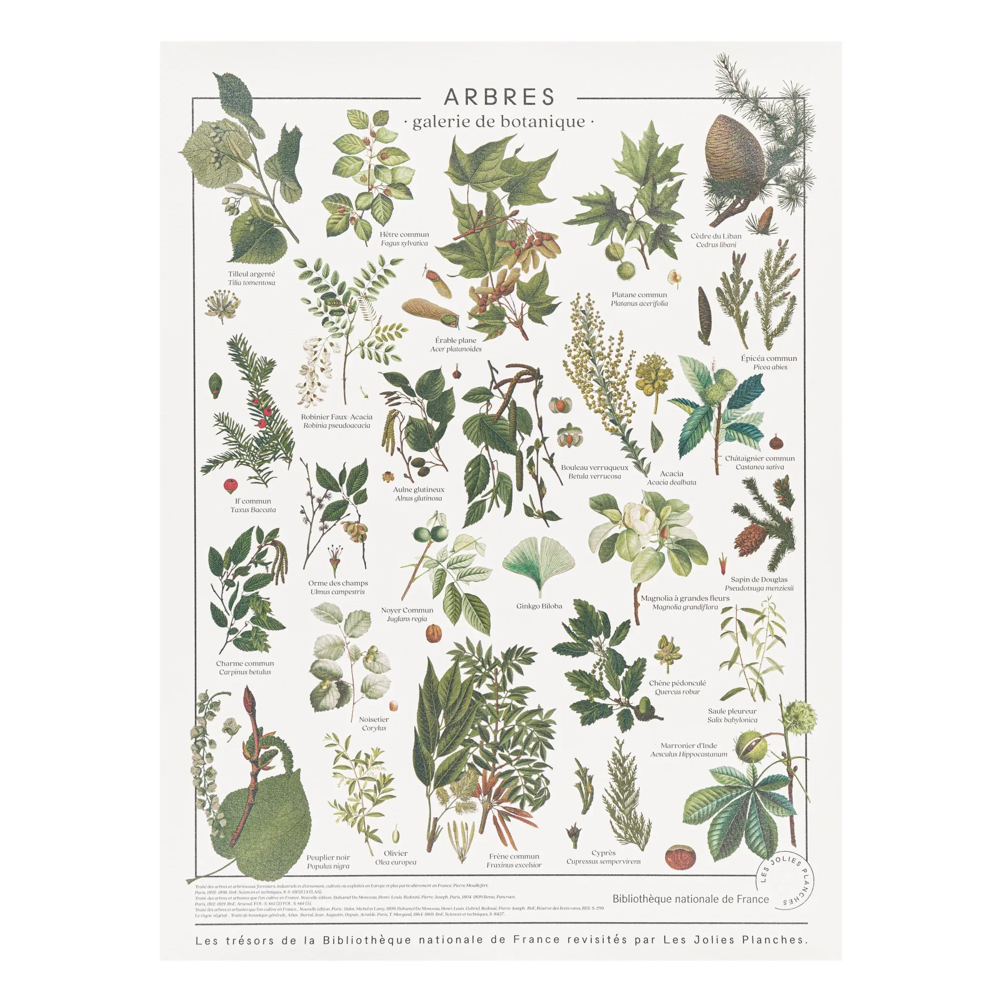 Les Jolies Planches - Ağaç panosu