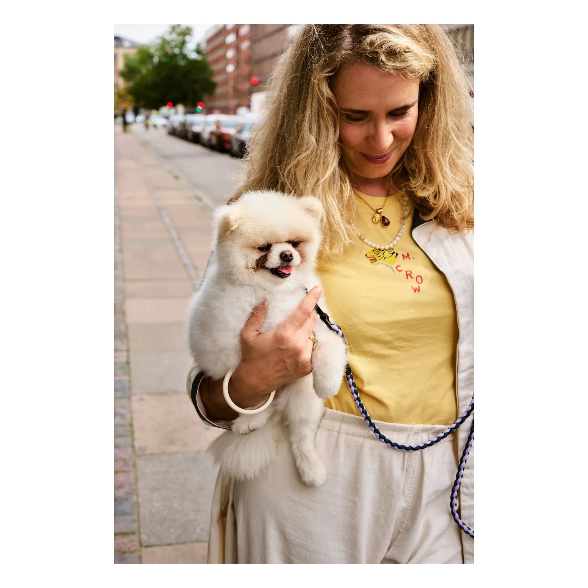Hay - Adjustable Collar | Lavender