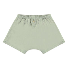 Risu Risu - Nano Cotton Bio Boxer | Almond Green