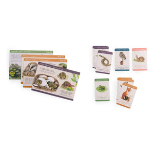 Moulin Roty - Garden animals discovery set - Le jardin du Moulin