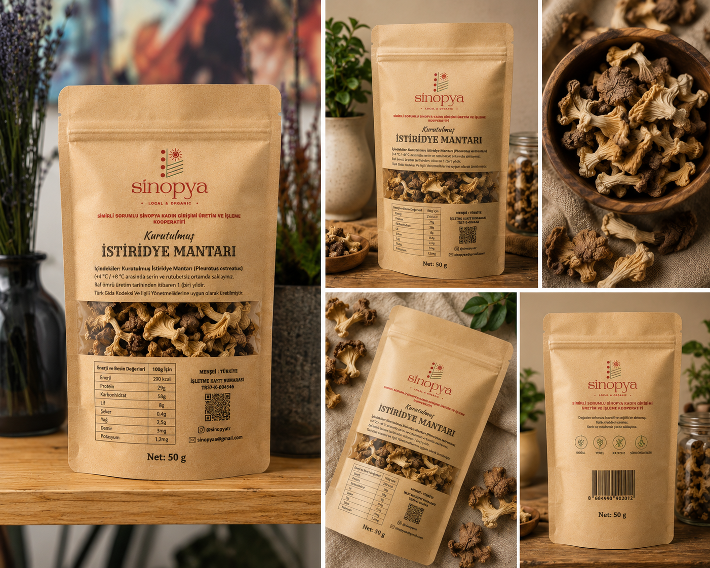 Sinopya - Dried Oyster Mushroom 50g