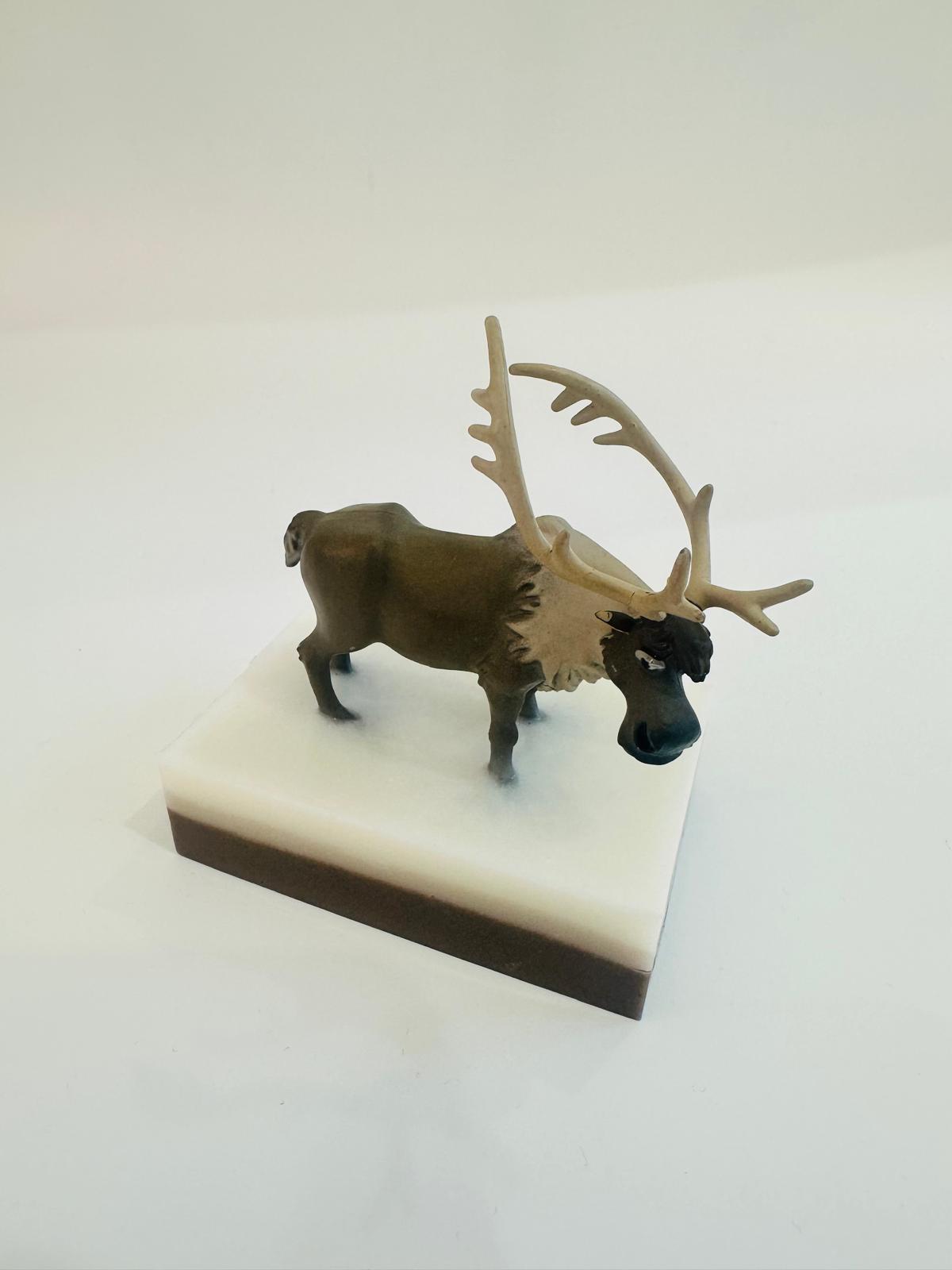 Baveal – Kids Forest Adventure Moisturizing Hand and Body Soap