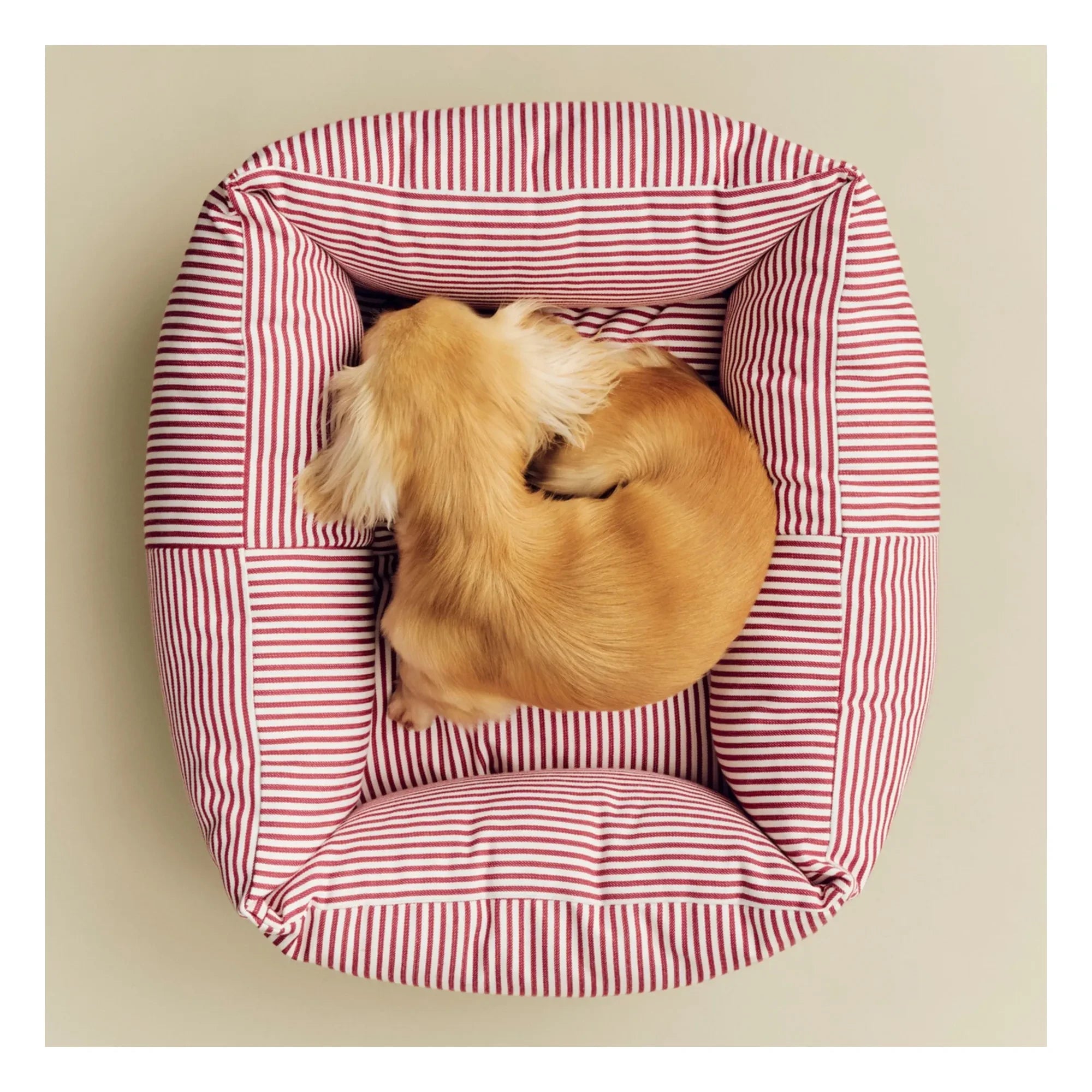 Hay - Striped dog bed | Red