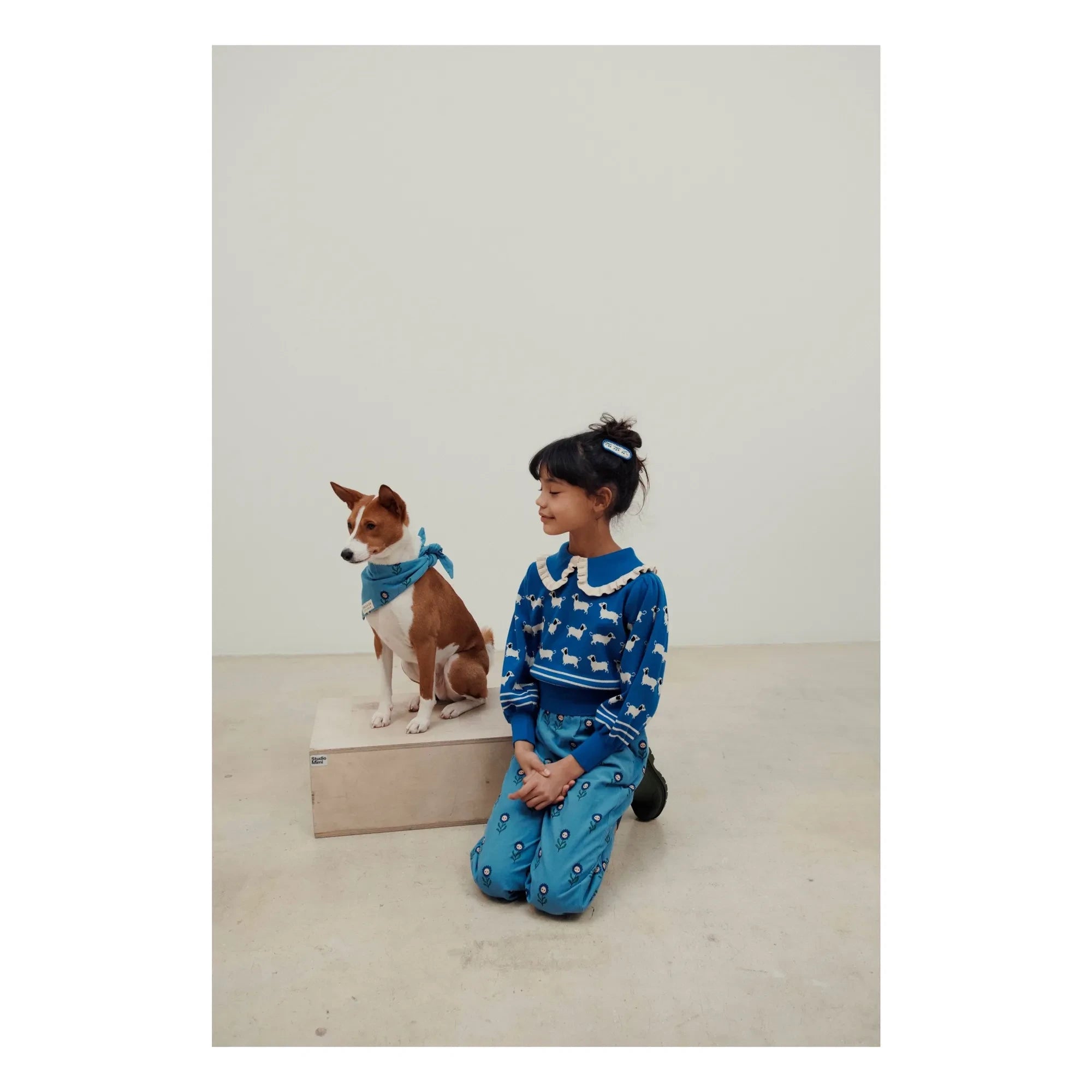 Emile et Ida - Royal Mavi Köpek Kazağı