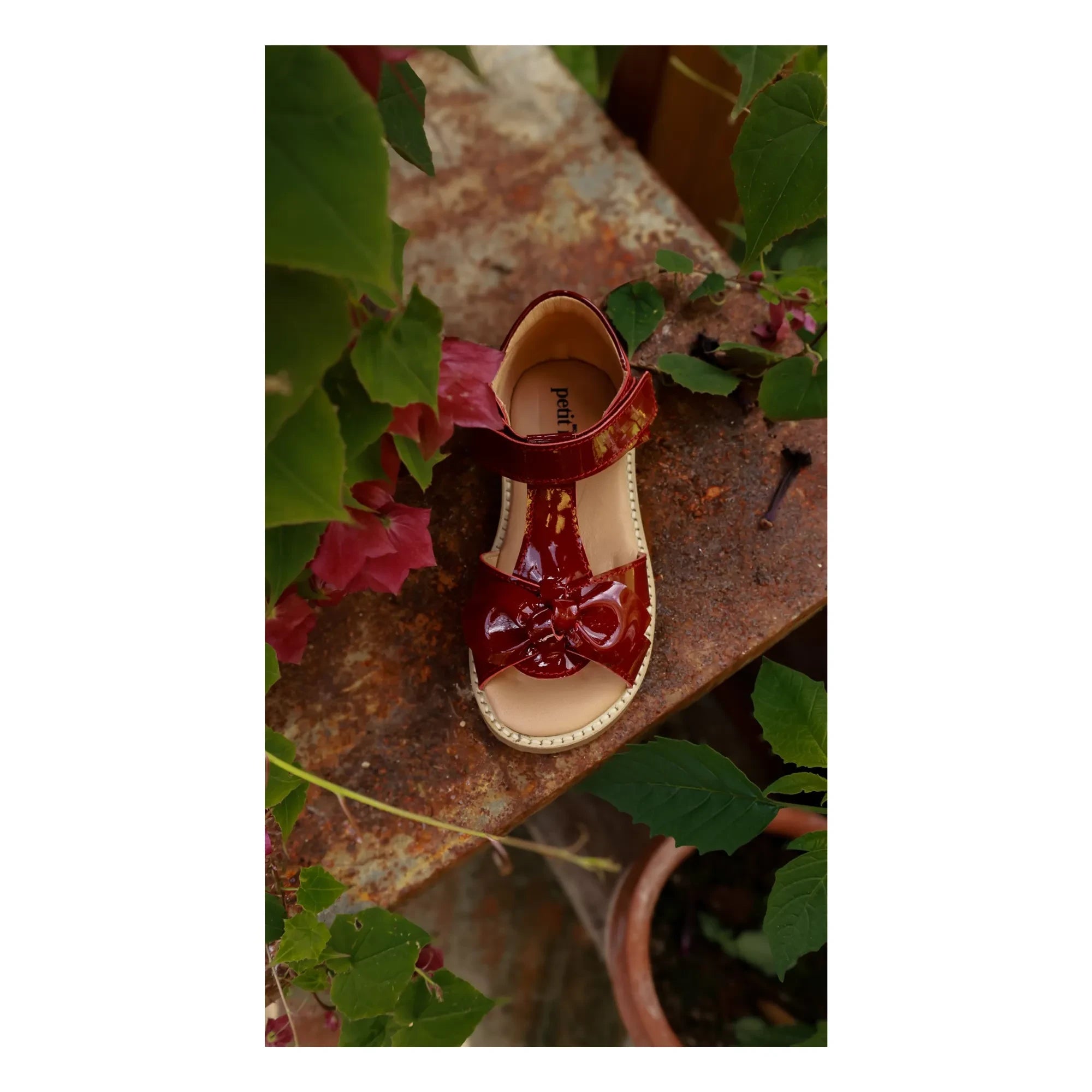 Petit Nord - Bow sandals | Cherry red