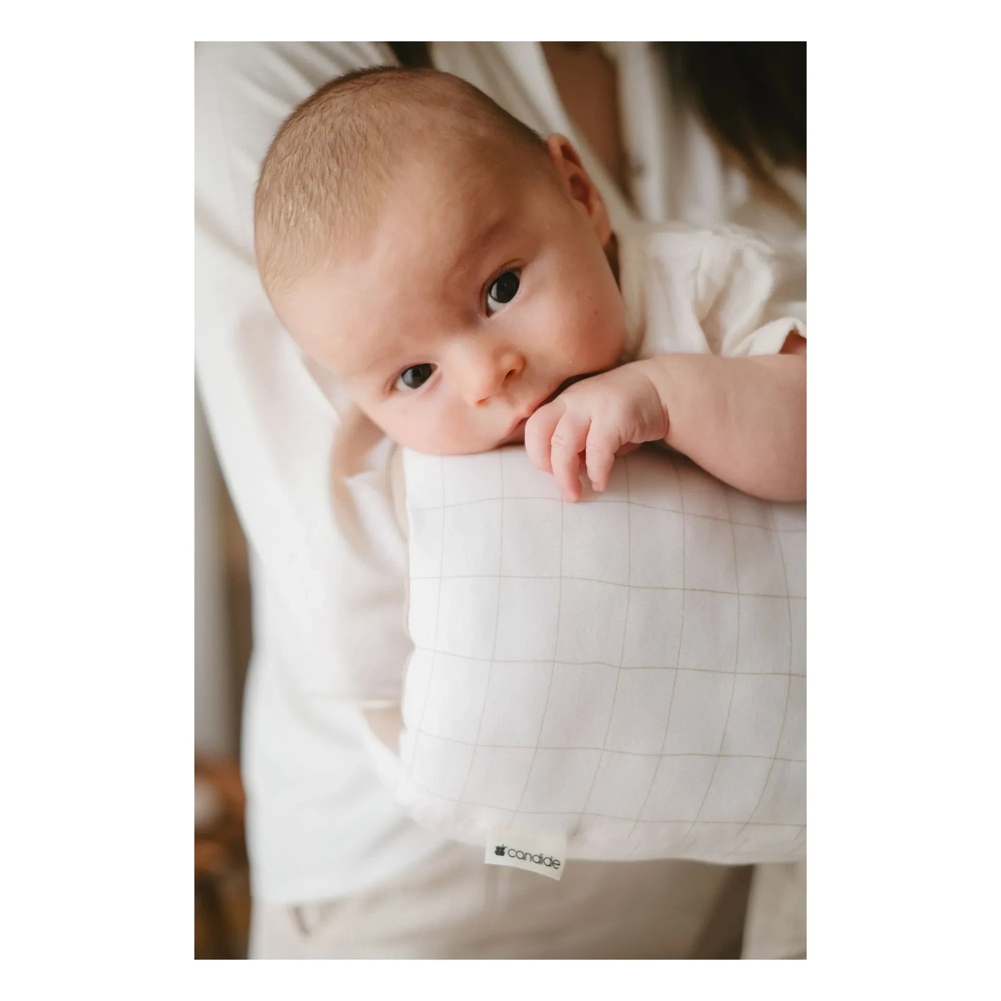 Candide - Nursing Sleeve | White