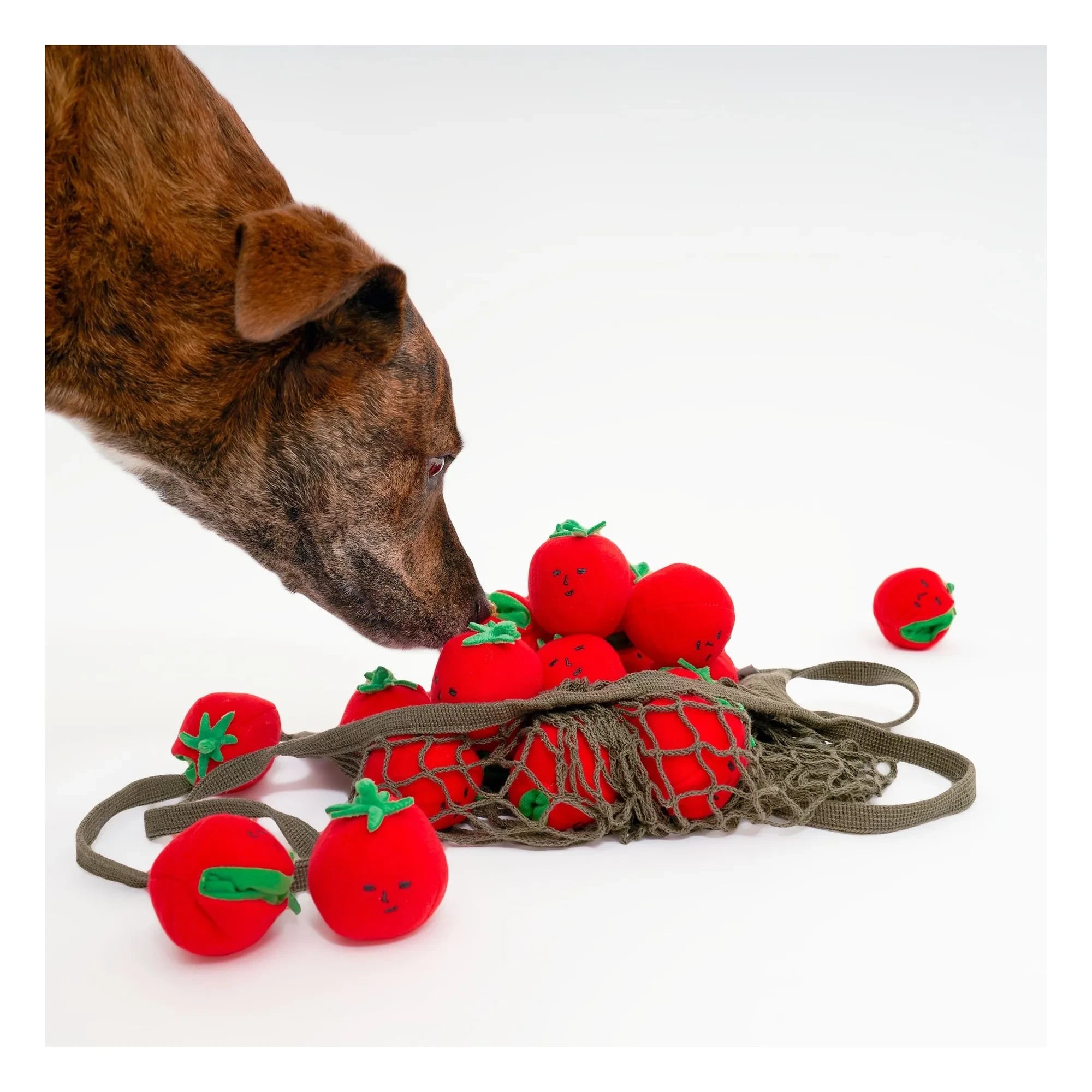 The Furry Folks - Cherry Tomato Chew Toy | Tomato Red
