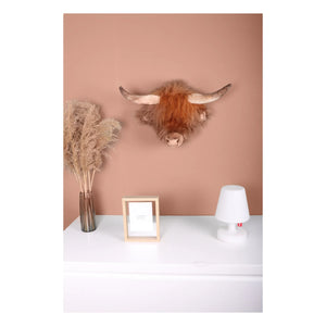 Wild & Soft - Scottish Cow Mug