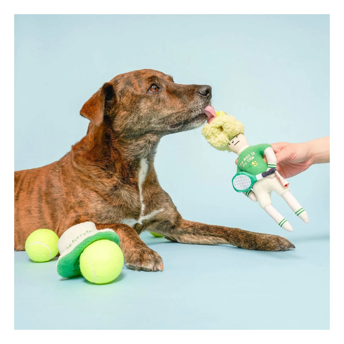 The Furry Folks - Tennis Hooman Scratching Toy | Green