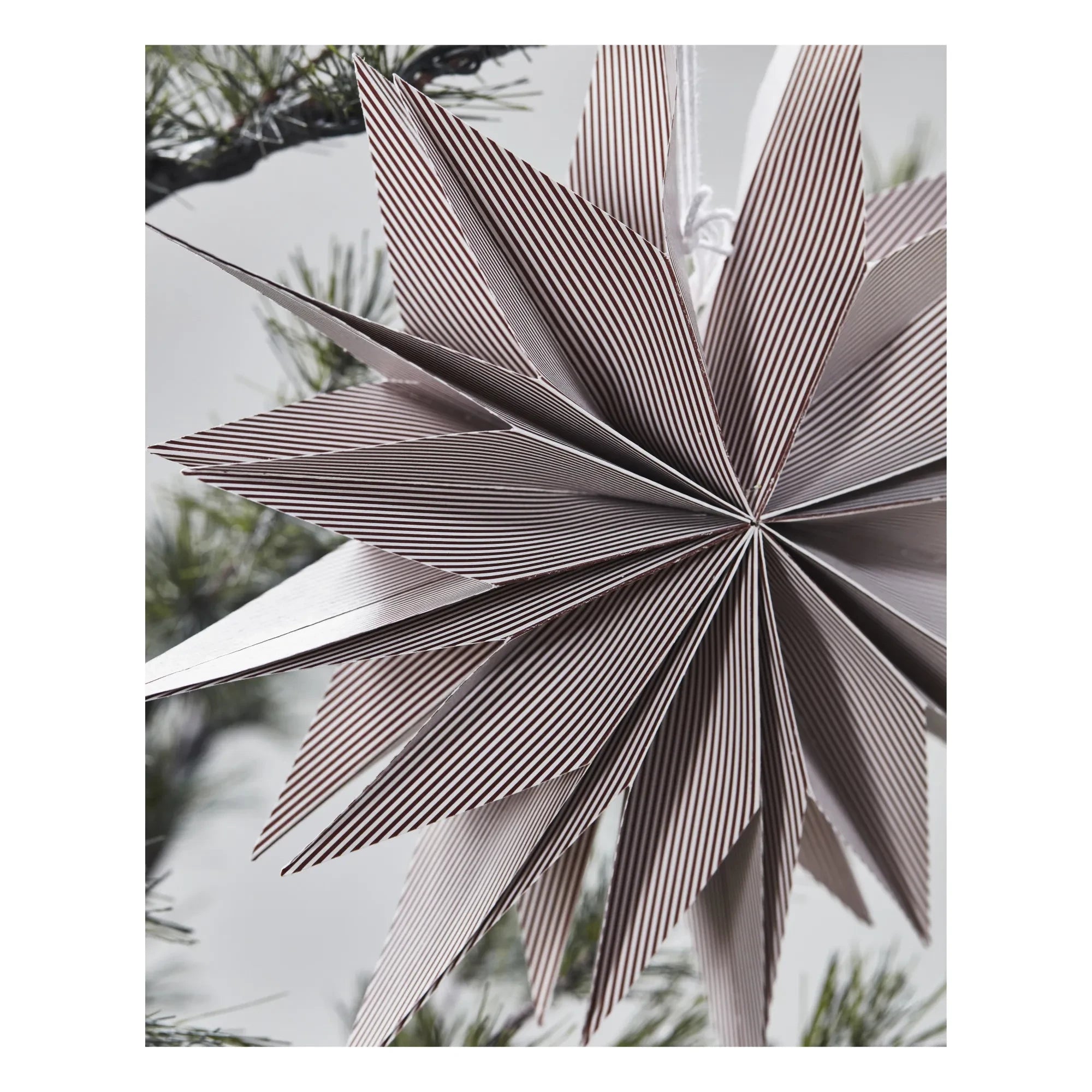 House Doctor - Capella Paper Star | Burgundy