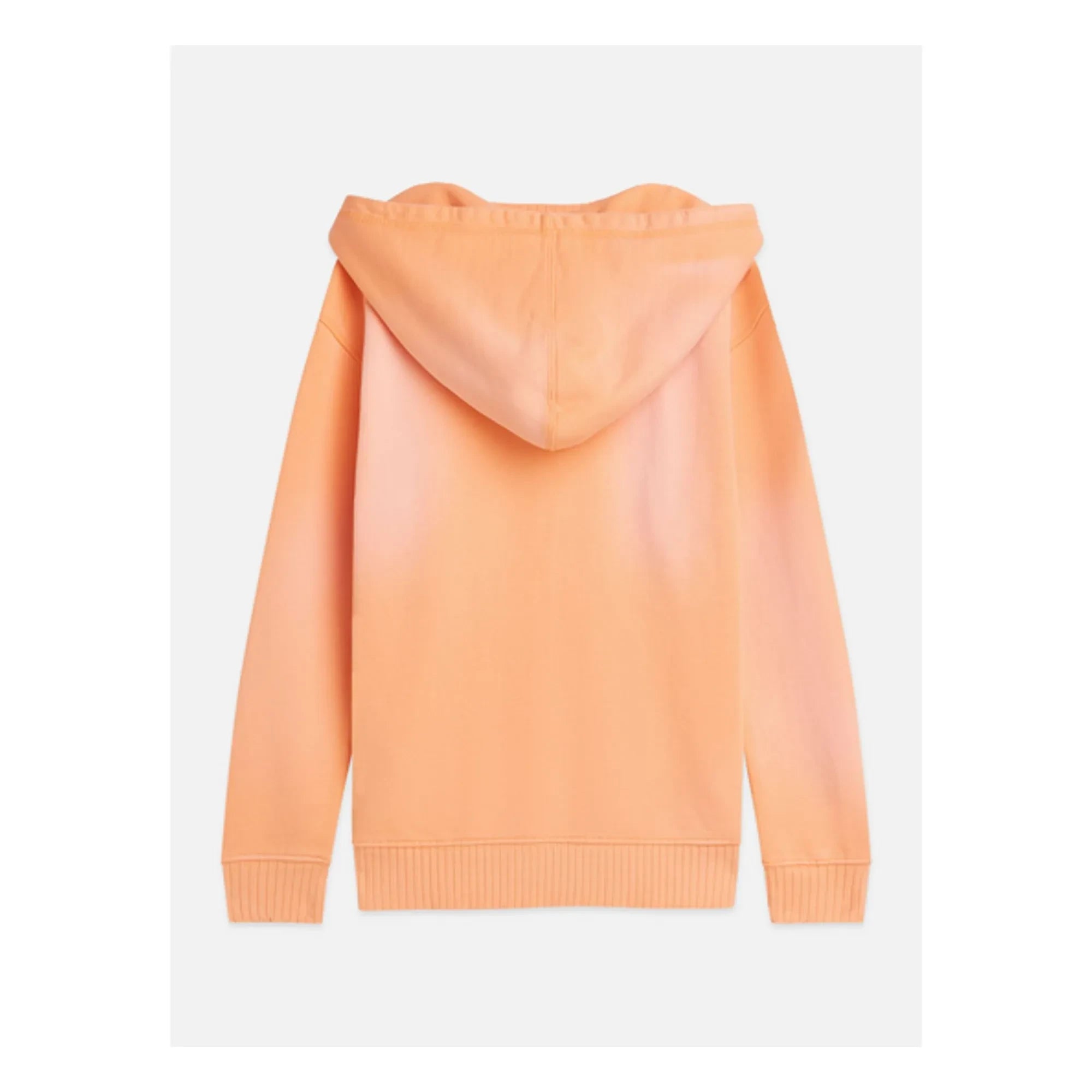 Scotch & Soda - Artwork Mystery Hoodie Sweatshirt | Coral