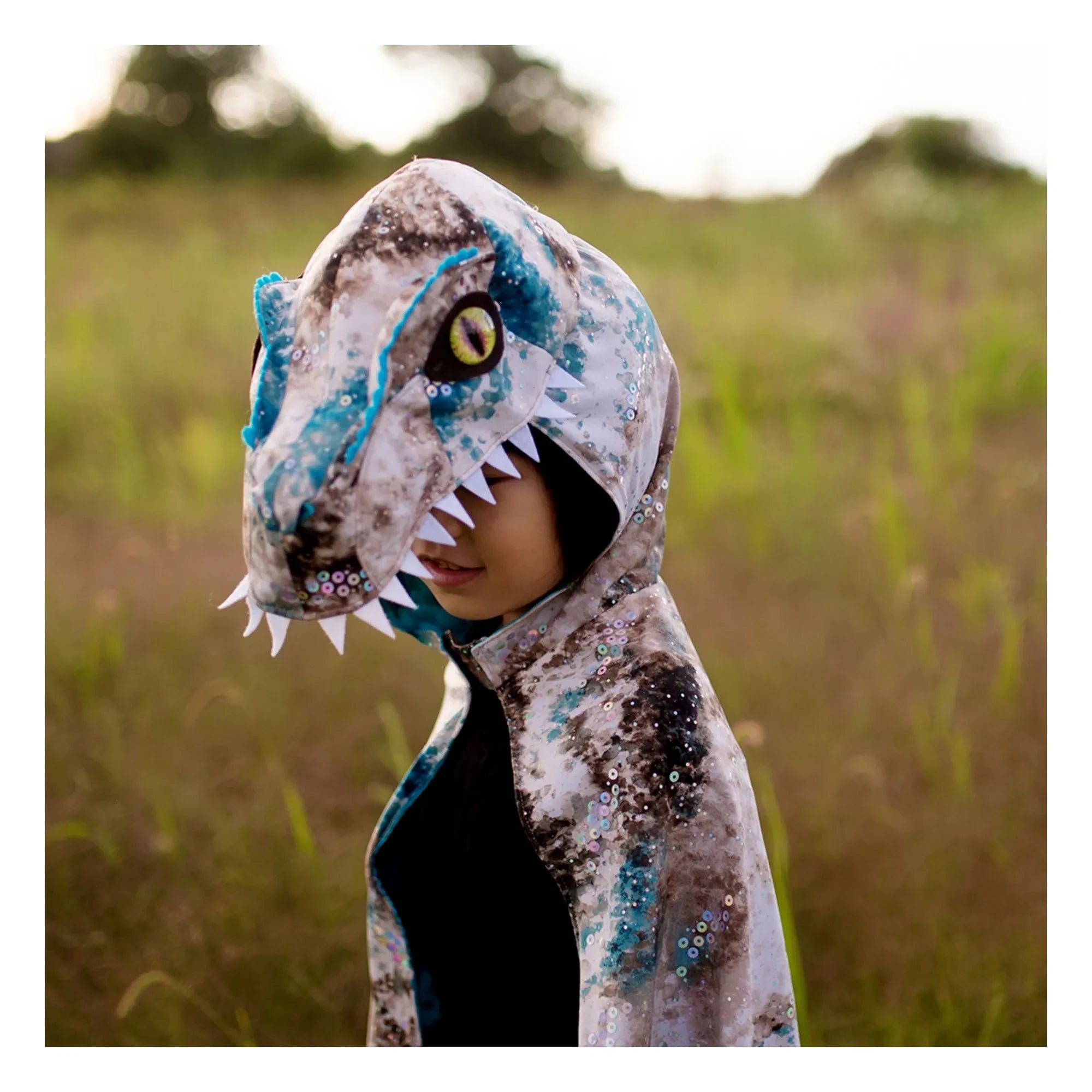 Great Pretenders - Cape Raptor | Gray