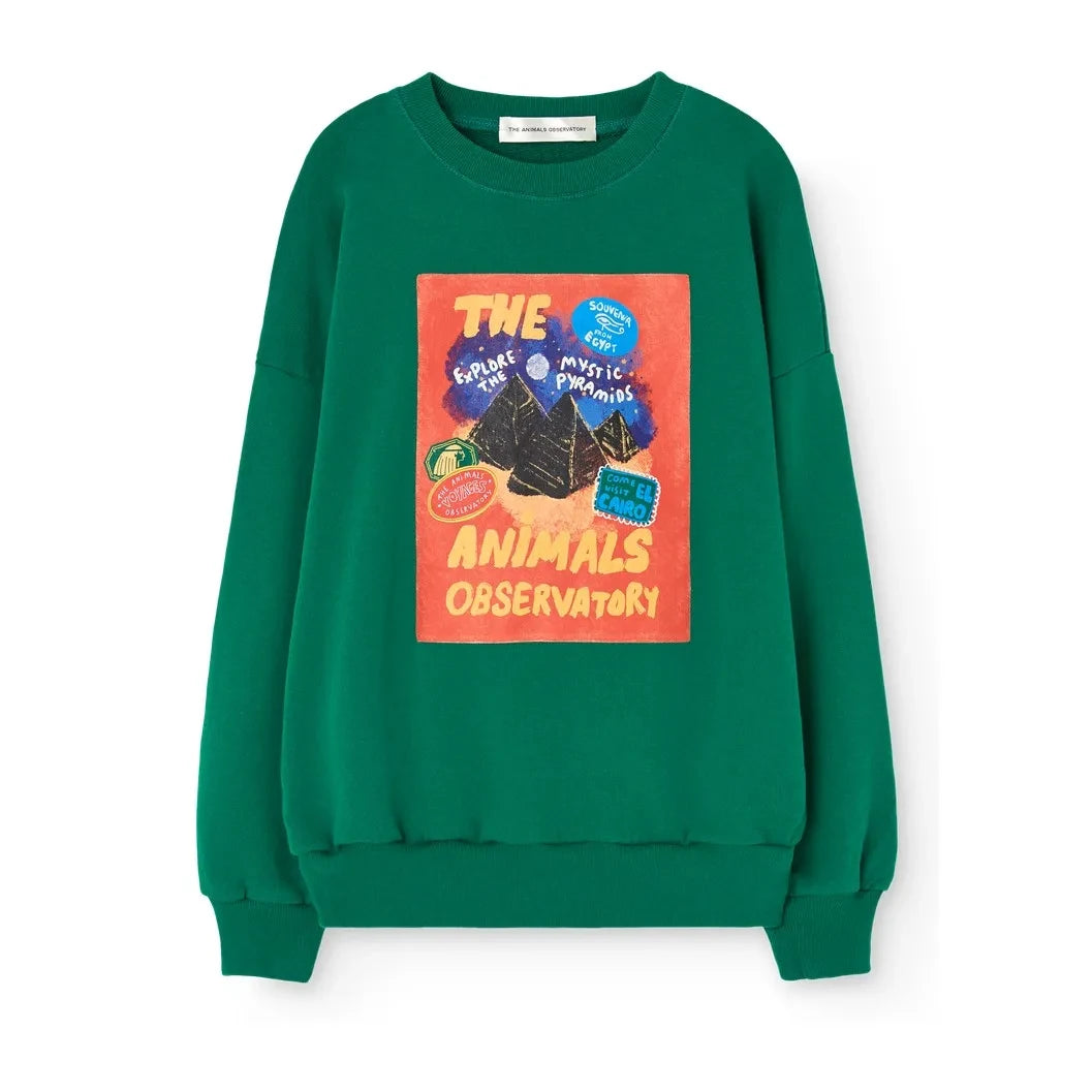 The Animals Observatory - Killifish sweatshirt | Green