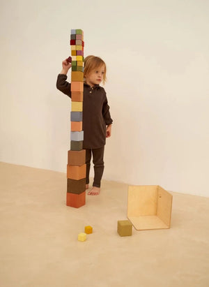Raduga Grez - Wooden blocks - 27 pieces | Brown