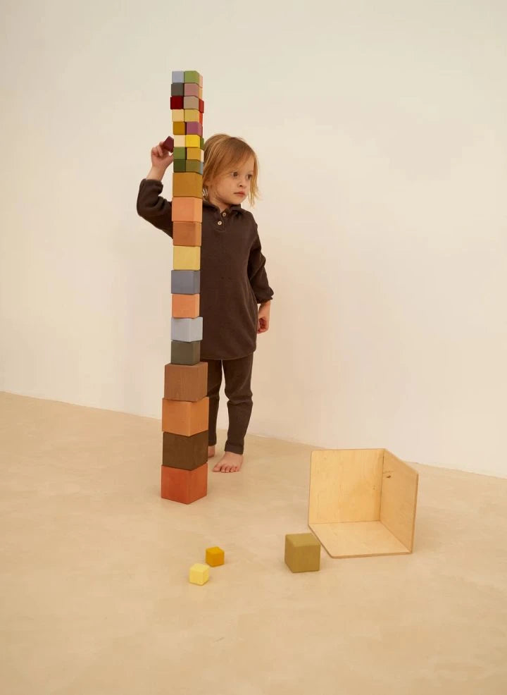 Raduga Grez - Wooden blocks - 27 pieces | Brown