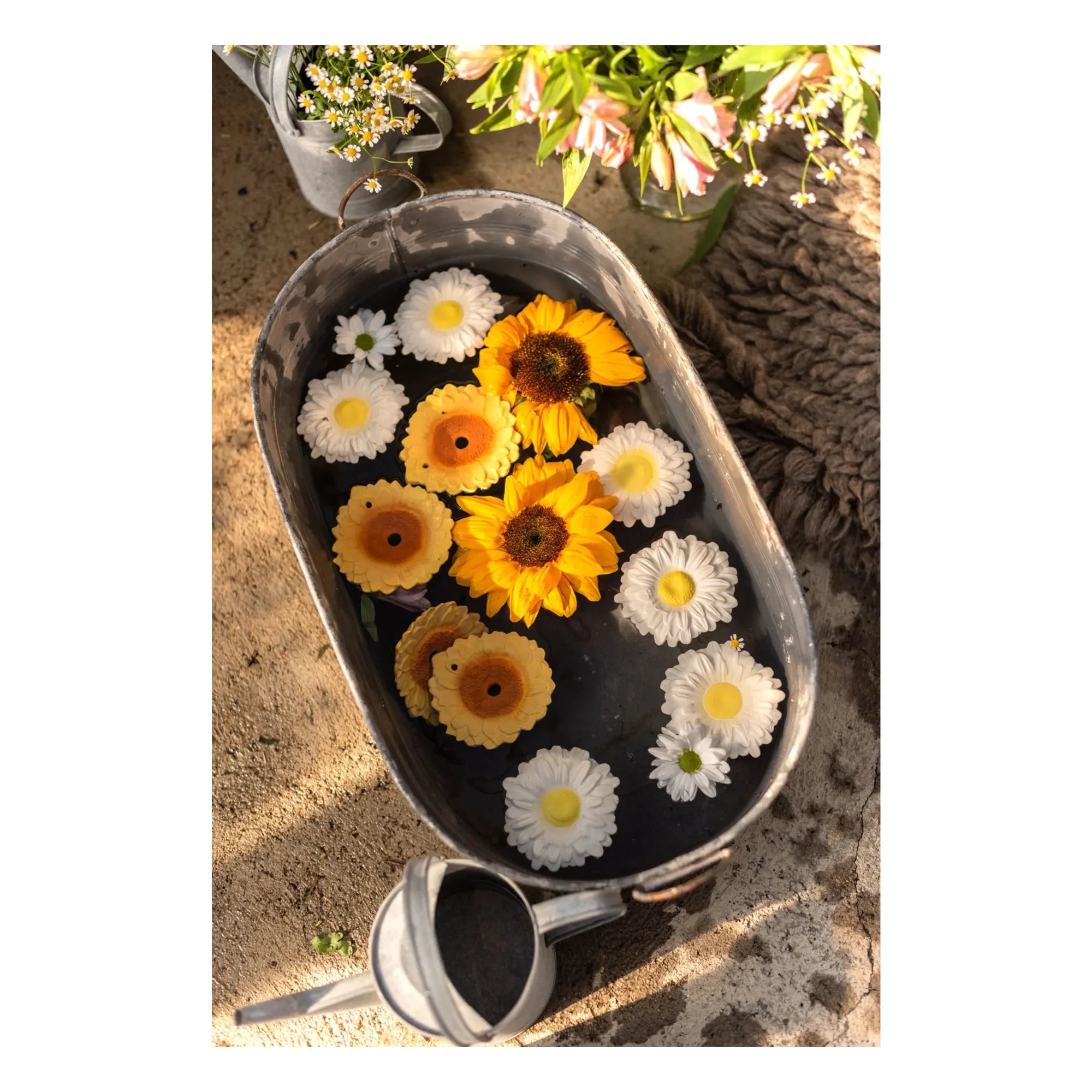 Oli & Carol - Sun the sunflower diş kaşıma halkası