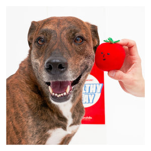 The Furry Folks - Cherry Tomato Chew Toy | Tomato Red