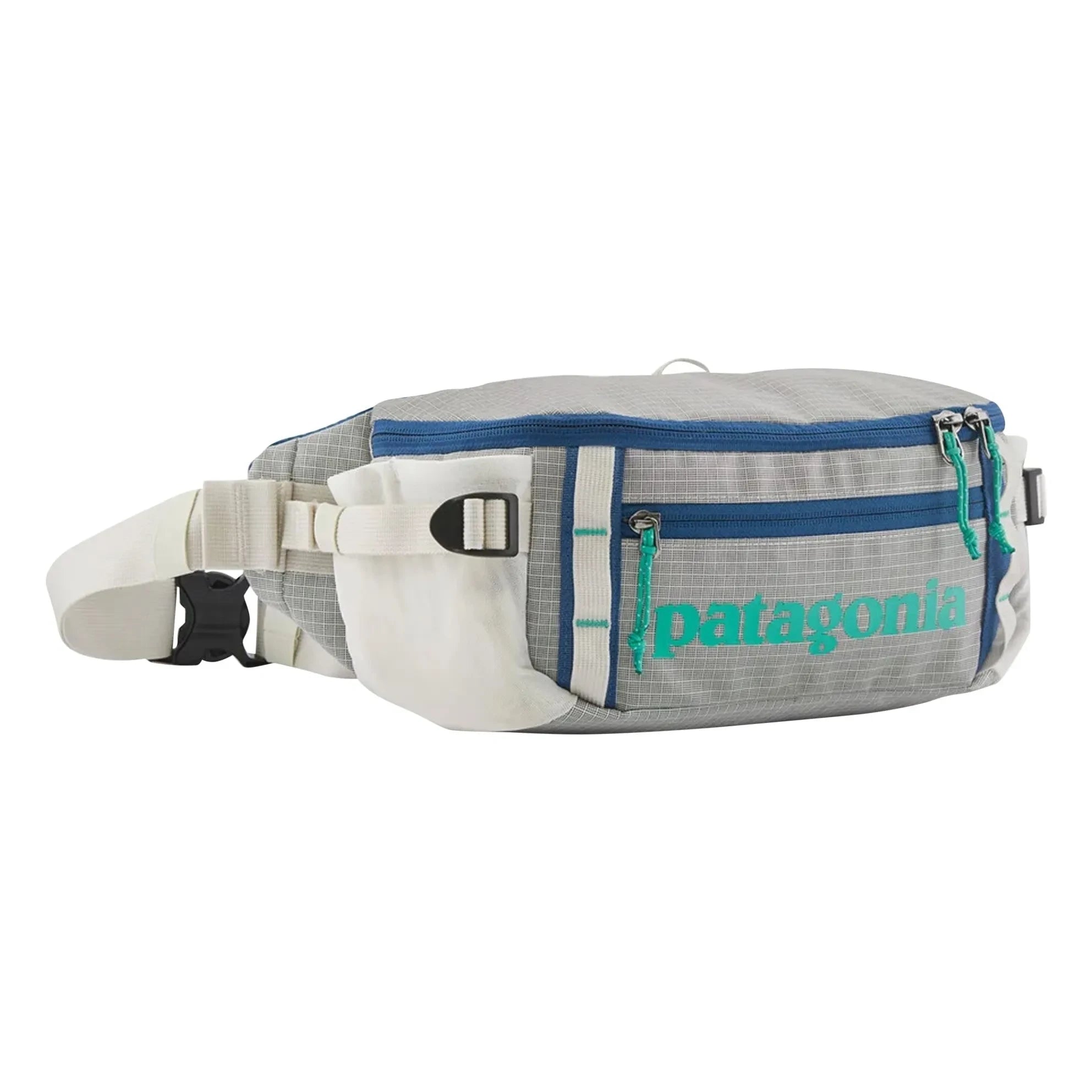 Patagonia - Black Hole Fanny Pack 5L Banana Bag | Light gray