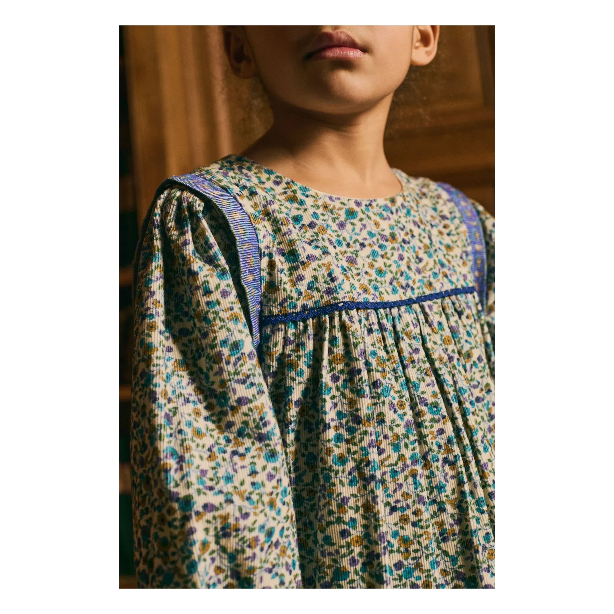 Louise Misha - Isatys Dress with Floral Pattern in Thin Velvet | Blue