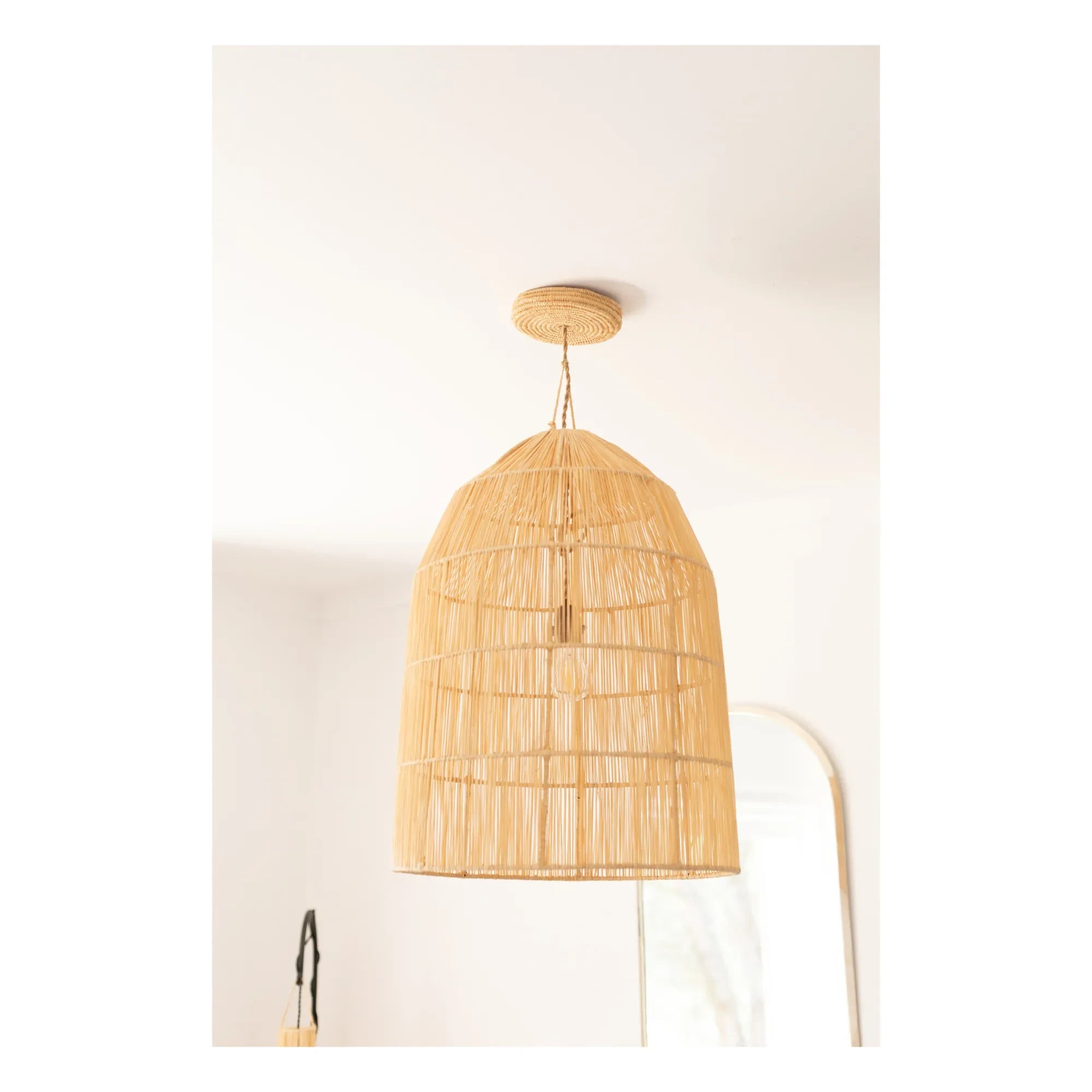 Cosydar - Lighting Fixture and Palm Leaf Ceiling Rose