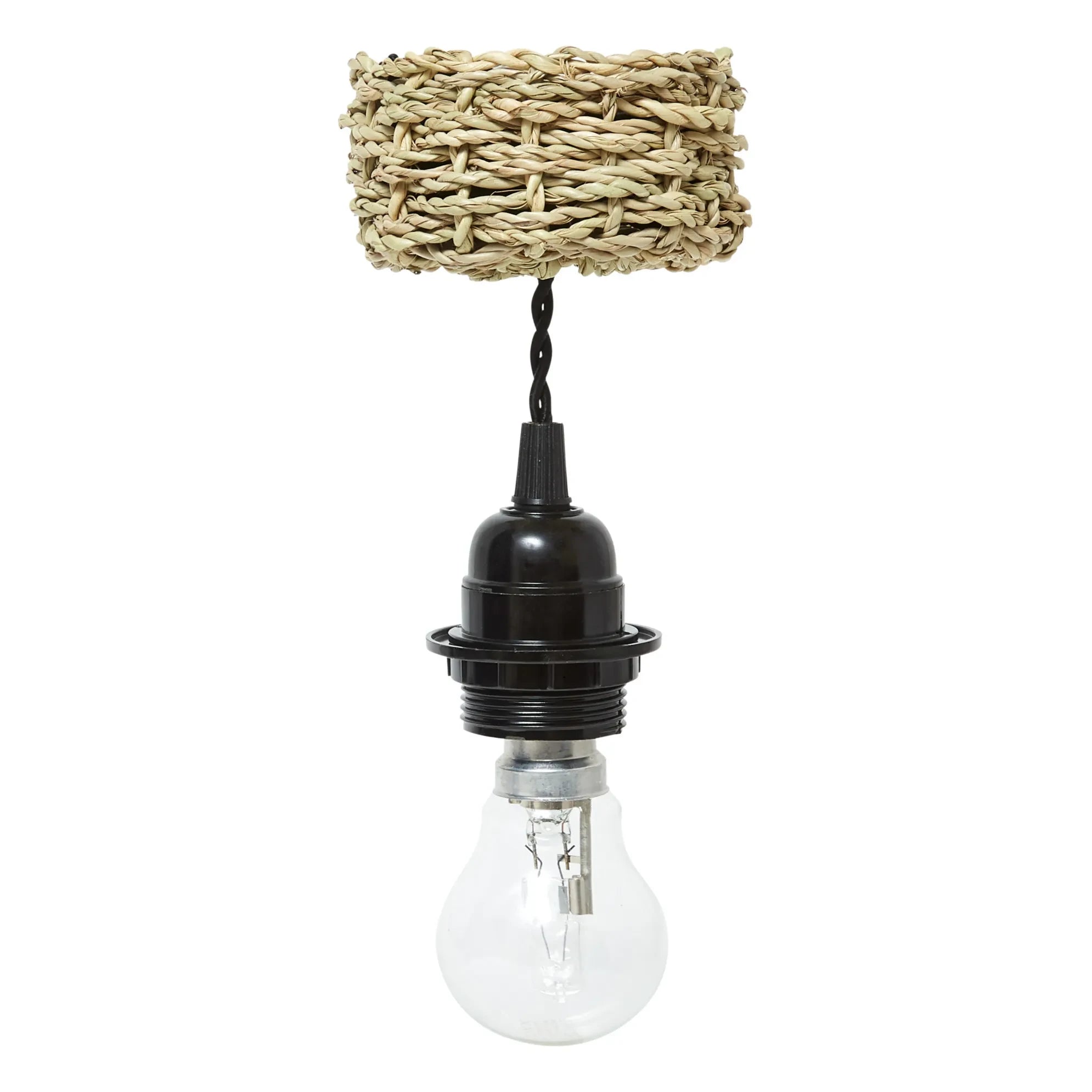 Cosydar - Lighting Fixture and Palm Leaf Ceiling Rose