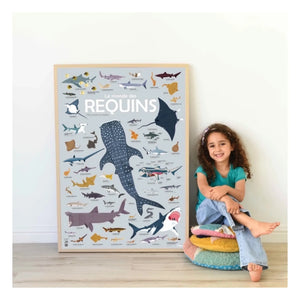 Poppik - Sharks Poster Stickers