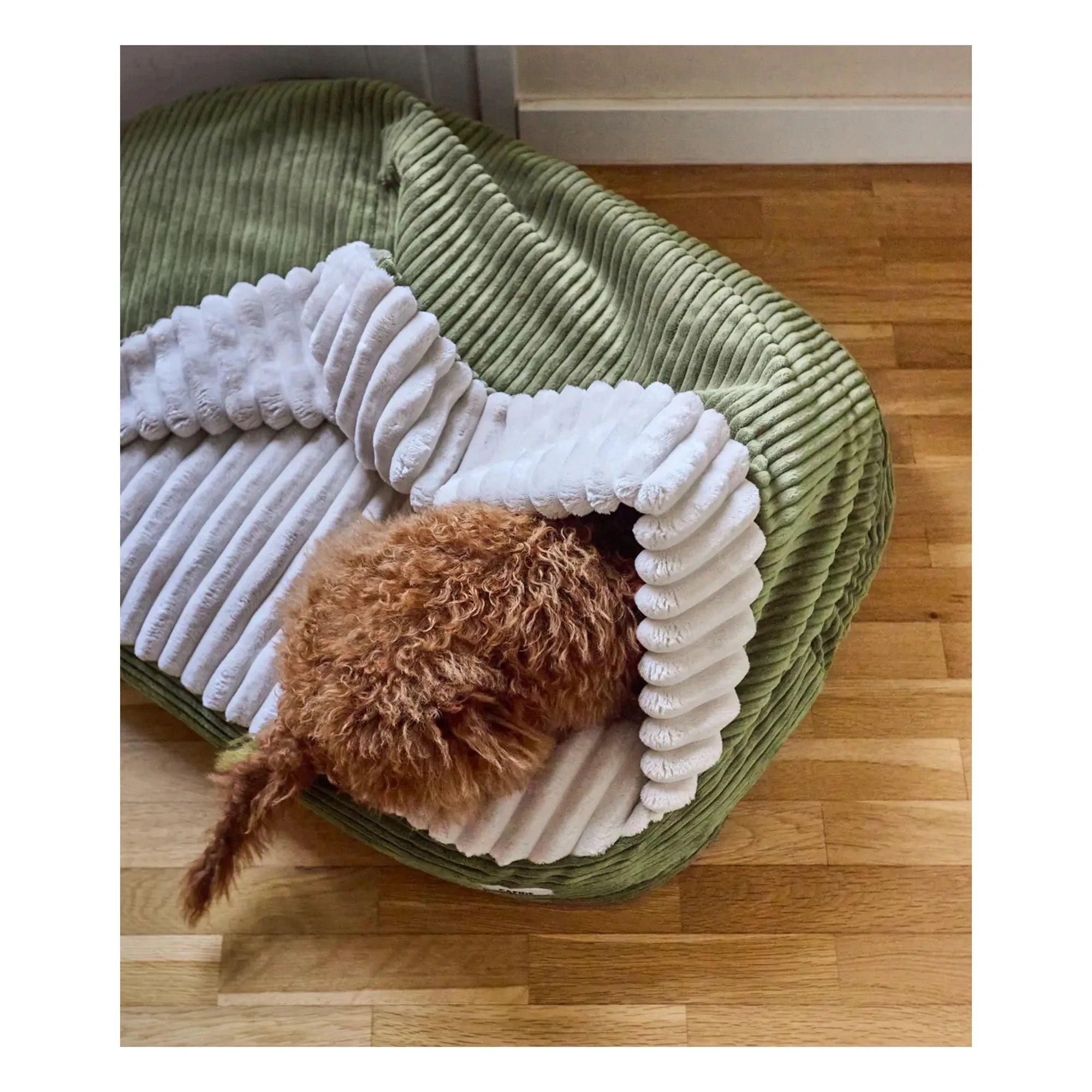Cafide - Maso textured dog bed | Green