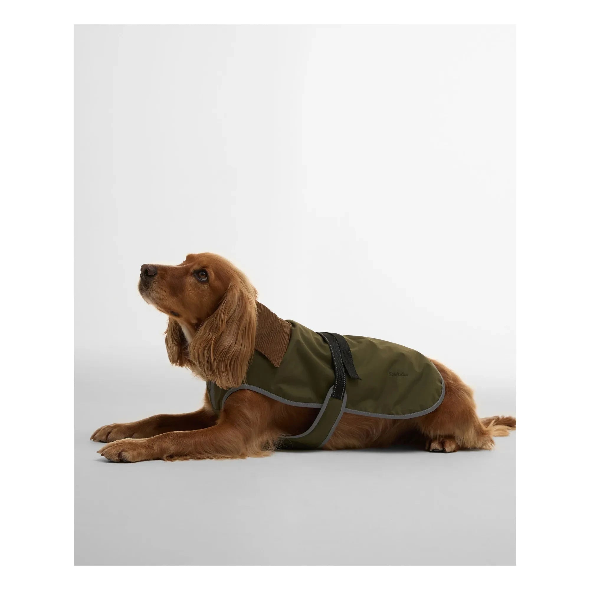 Barbour - Monmouth su geçirmez köpek montu | Zeytin