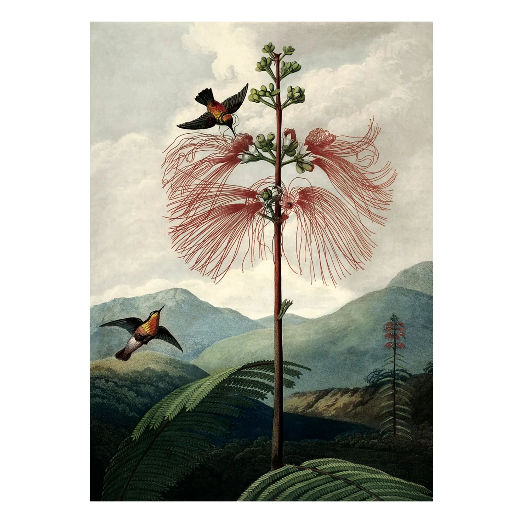 The Dybdahl Co. - Flower Tree Poster