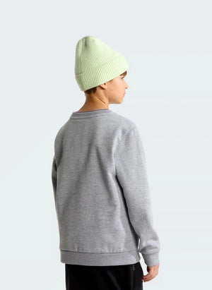 The North Face - Simple Done Sweatshirt | Gray Melange